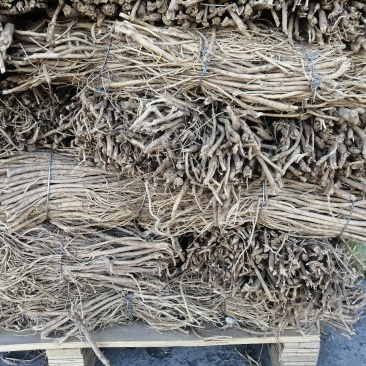 黄芪，正北芪大量出售，皮色好，无农残，含量高于标签8倍