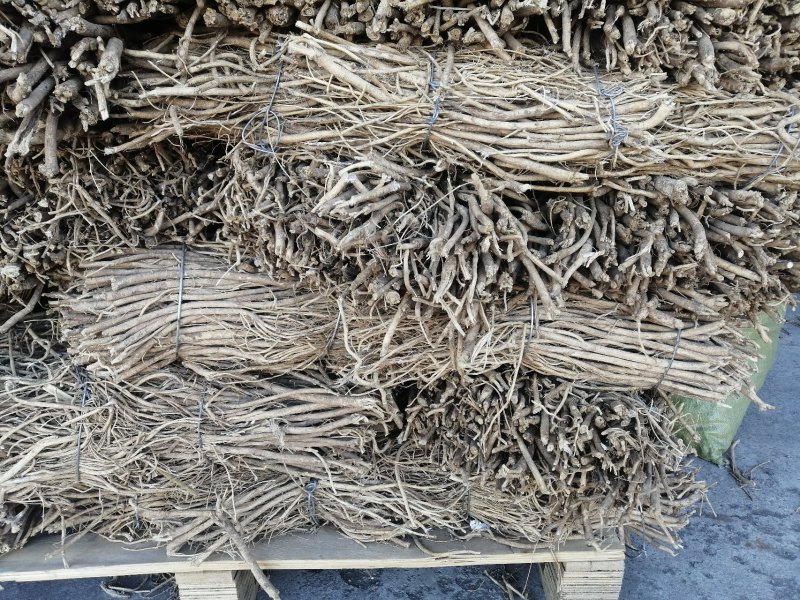 黄芪，正北芪大量出售，皮色好，无农残，含量高于标签8倍