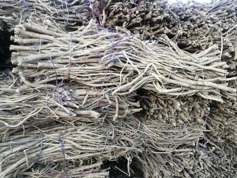 黄芪，正北芪大量出售，皮色好，无农残，含量高于标签8倍