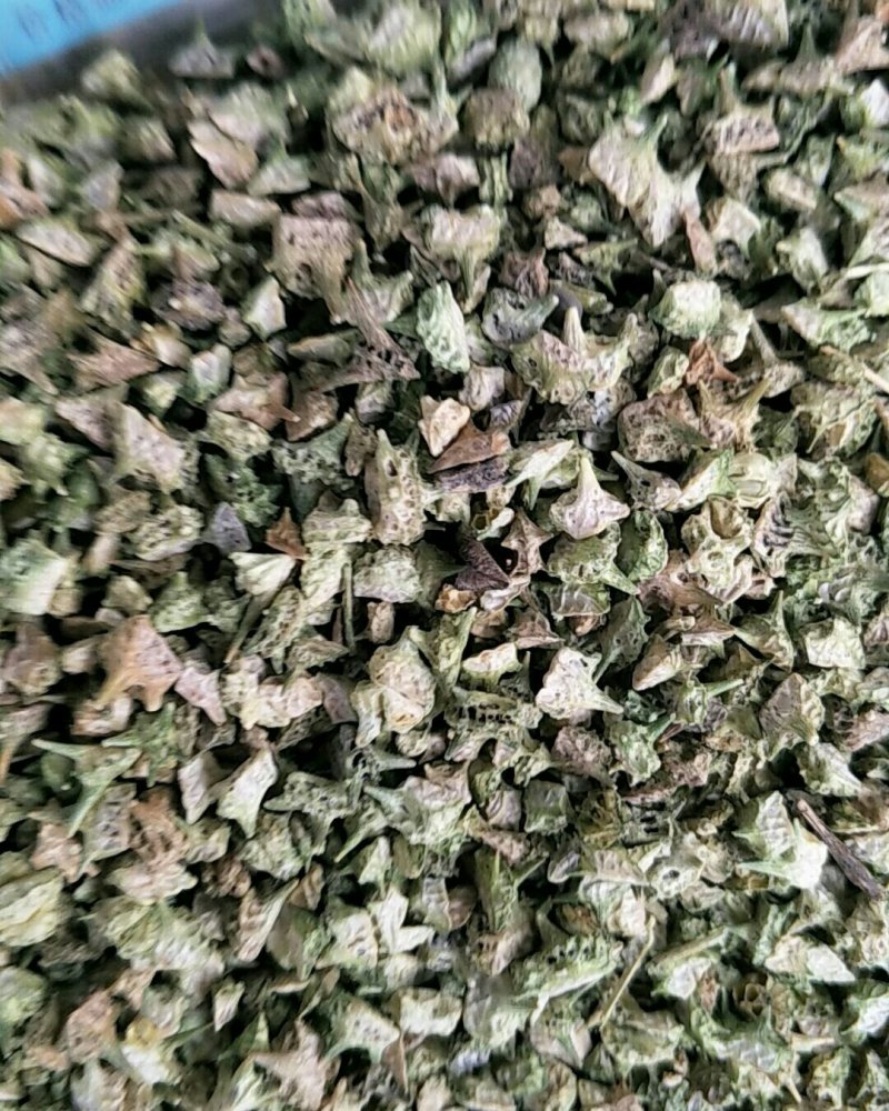 蒺藜，常年批发供应蒺藜中药材，量大从优