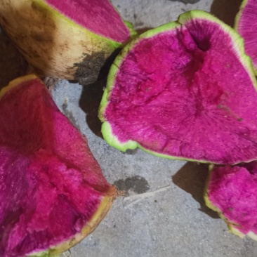 精品花心萝卜，心里美，库存货。