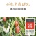 农伯惠新疆灰枣500g若羌红枣灰枣阿克苏红枣干零食非和