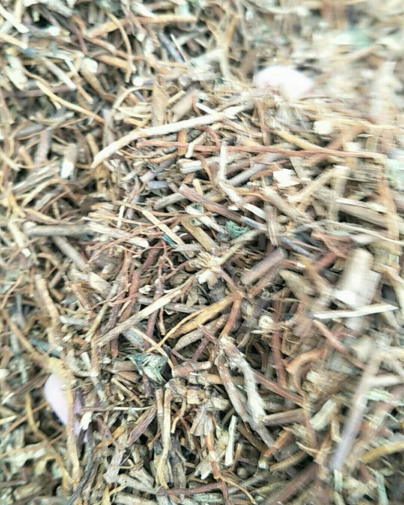 龙胆草，常年批发供应龙胆草中药材