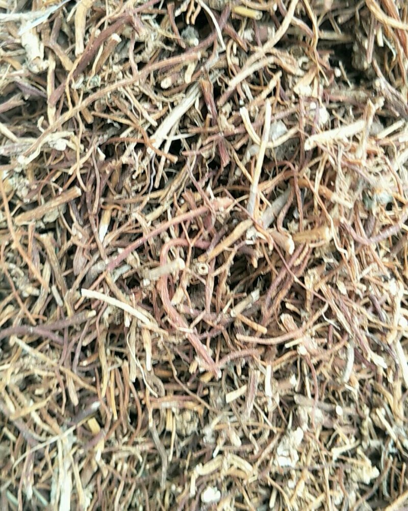 龙胆草，常年批发供应龙胆草中药材