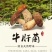 羊肚菌
