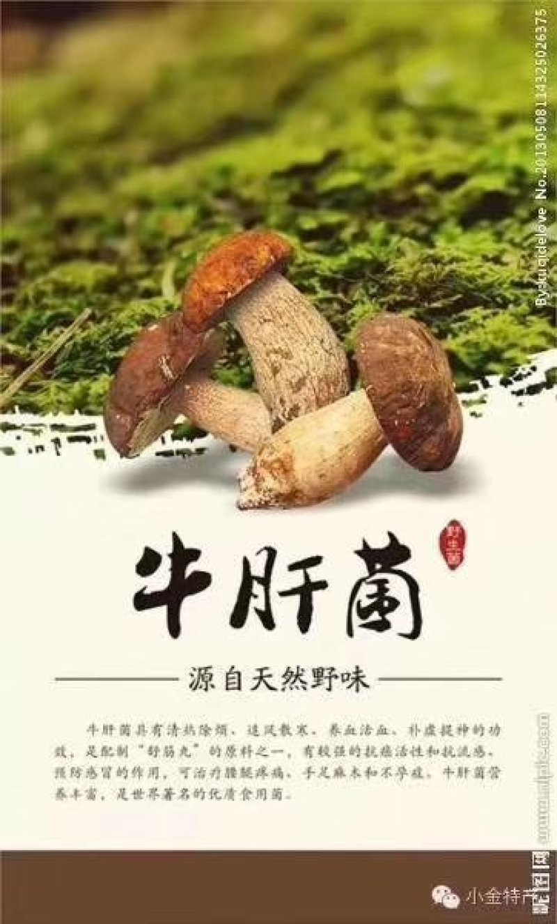 羊肚菌