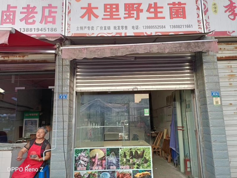 羊肚菌