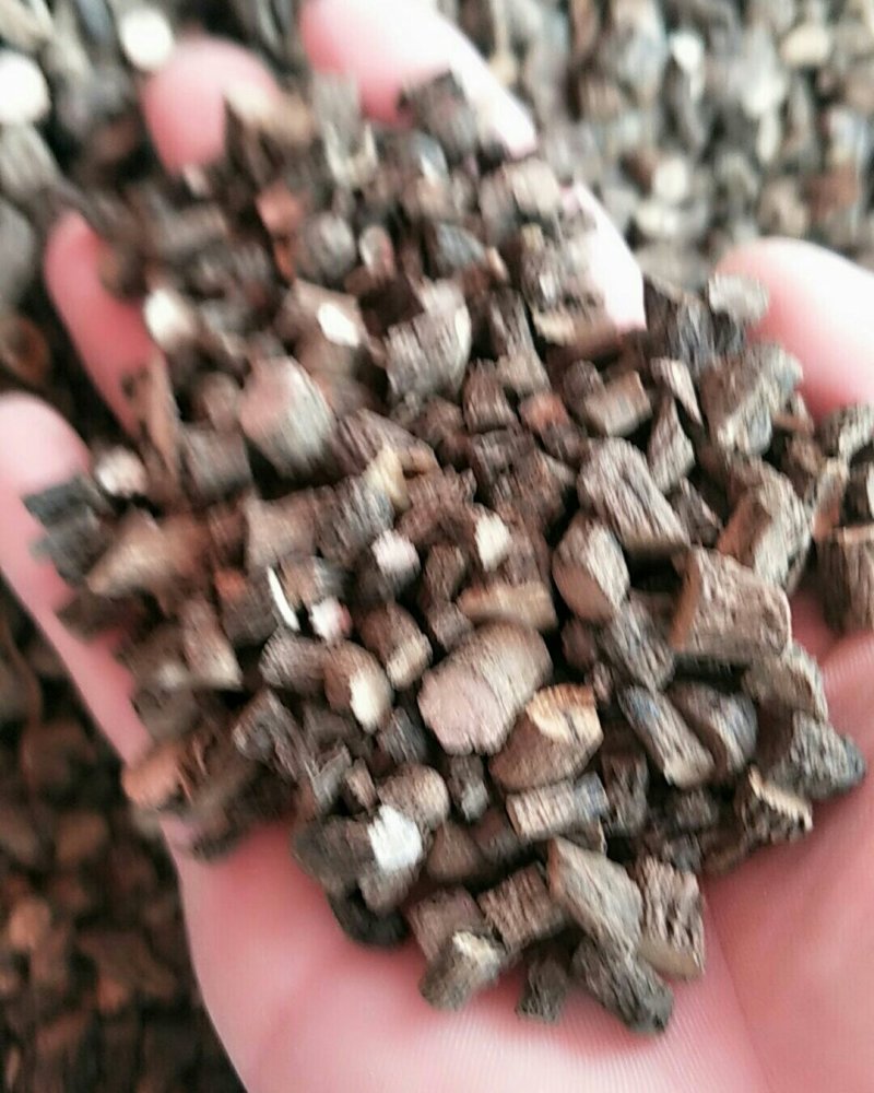 仙茅，常年批发供应中药材，仙茅