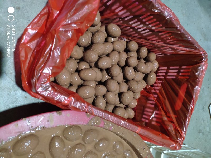 红泥咸鸭蛋