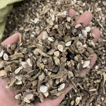 石菖蒲水菖蒲水洗干净货无硫磺熏蒸一公斤起批