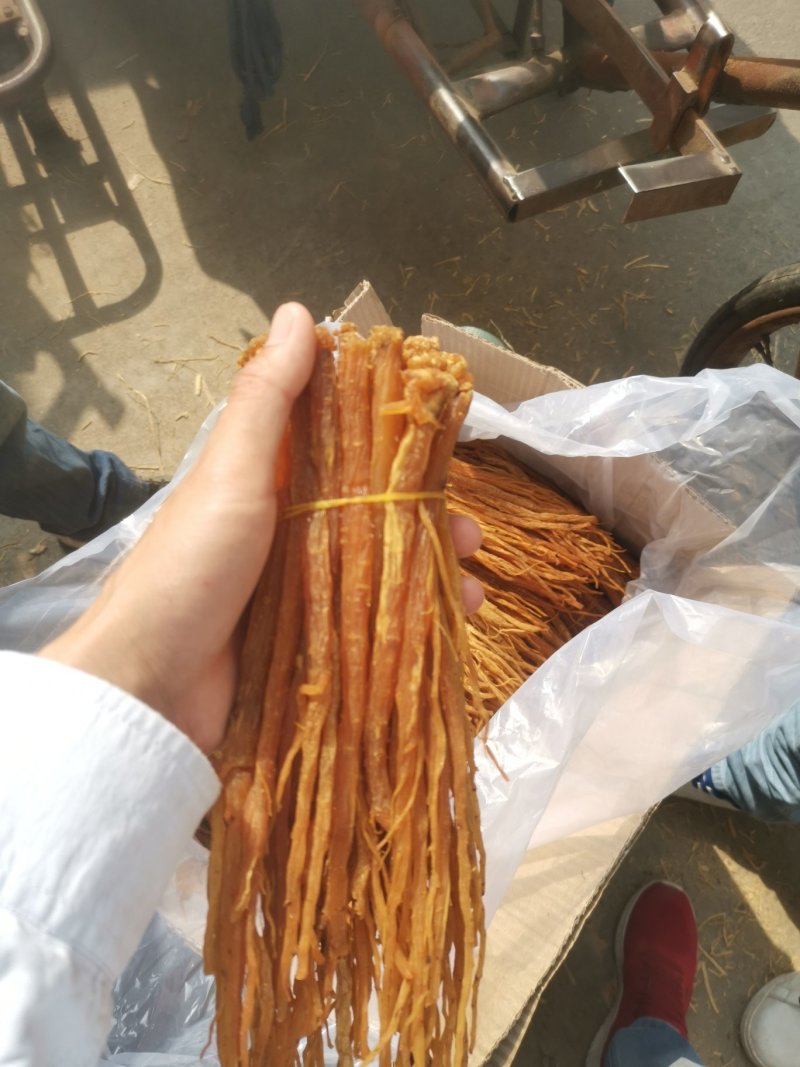 熟党参甘肃九蒸九晒熟党参批发