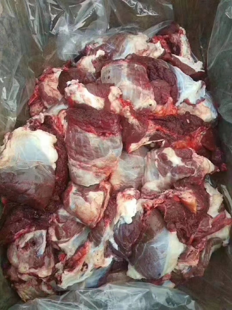 新鲜剔骨屠宰纯干无水黄牛肉，每个部位都有，客户可随意挑选