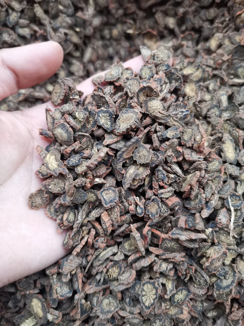 紫丹参粒紫丹参片《产地直销》《一件代发》