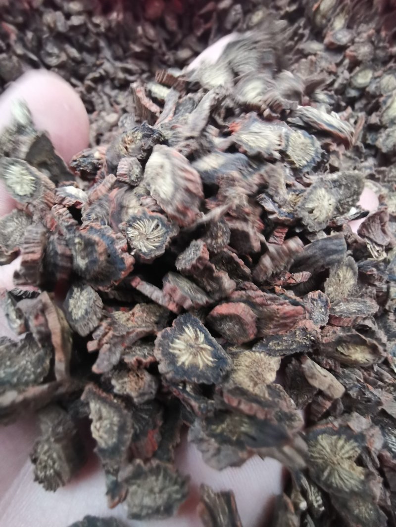 紫丹参粒紫丹参片《产地直销》《一件代发》