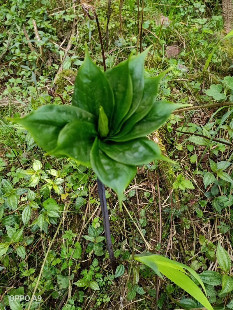 好货
