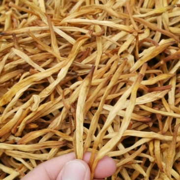 直条黄花菜无硫黄花菜无硫不会酸全国发货批发零售