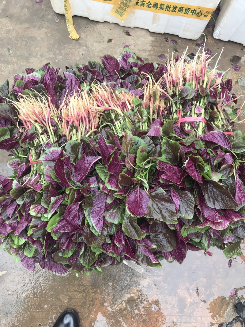 苋菜汗菜支持视频看货线上交易