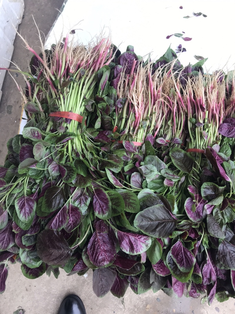 苋菜汗菜支持视频看货线上交易