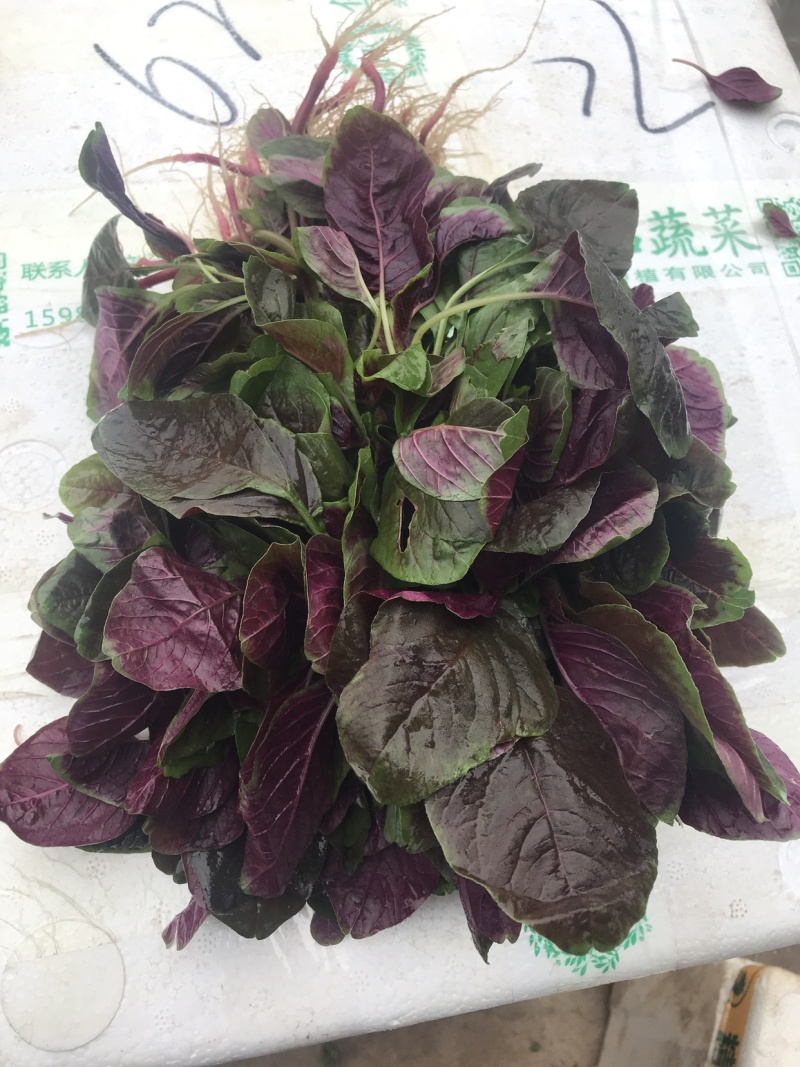 苋菜汗菜支持视频看货线上交易