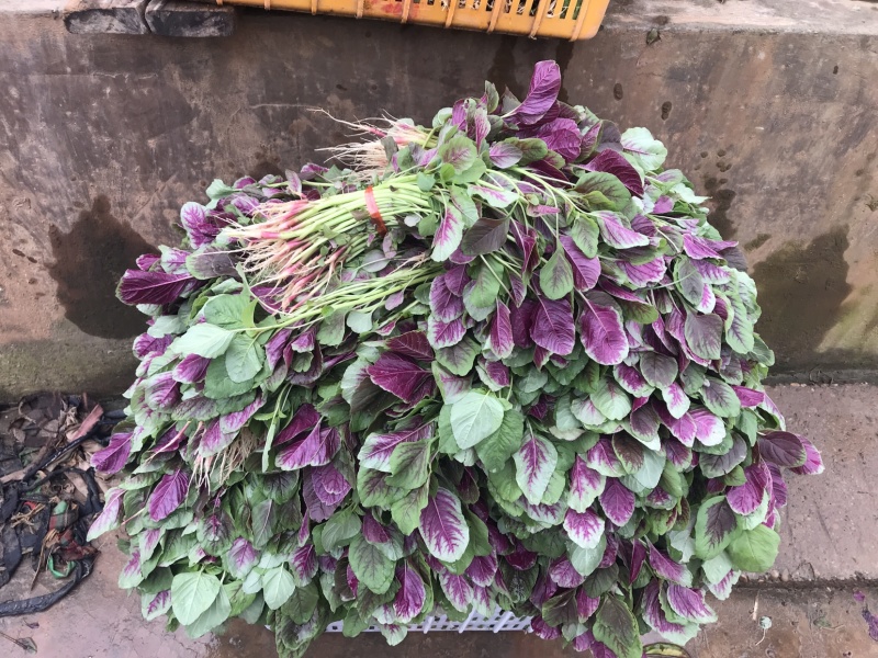 苋菜汗菜支持视频看货线上交易