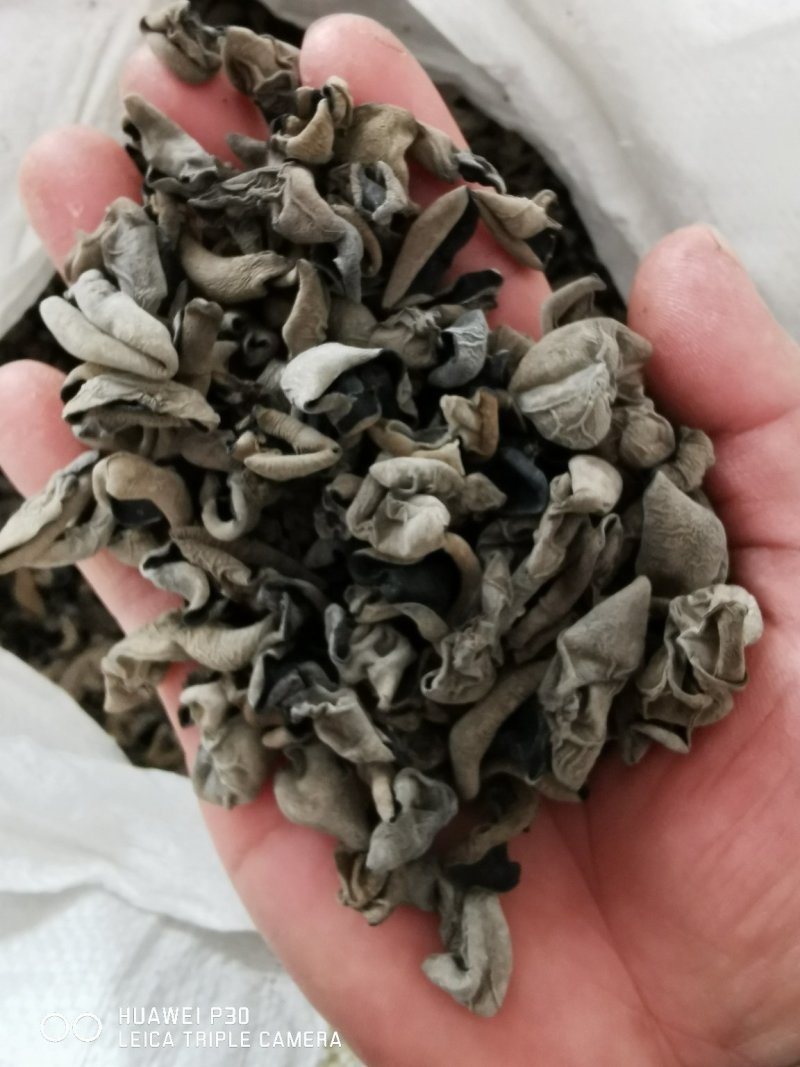 东北黑木耳产地直销1.0碗秋云耳