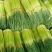 【精品蒜苔】河南红帽蒜苔干苔不加水，代收代发袋储存，