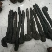 肉苁蓉软油肉苁蓉内蒙阿拉善肉苁蓉产地量大从优