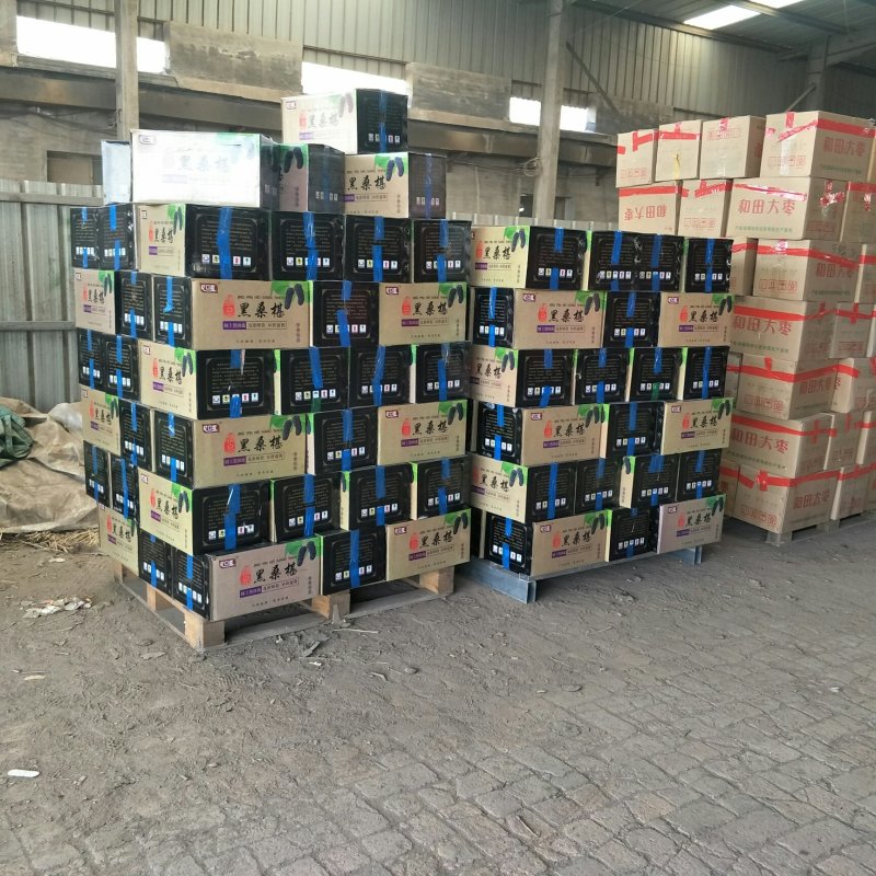 新品供应250克罐装桑葚干免洗桑椹子批发泡水泡酒熬粥