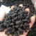 新品供应250克罐装桑葚干免洗桑椹子批发泡水泡酒熬粥