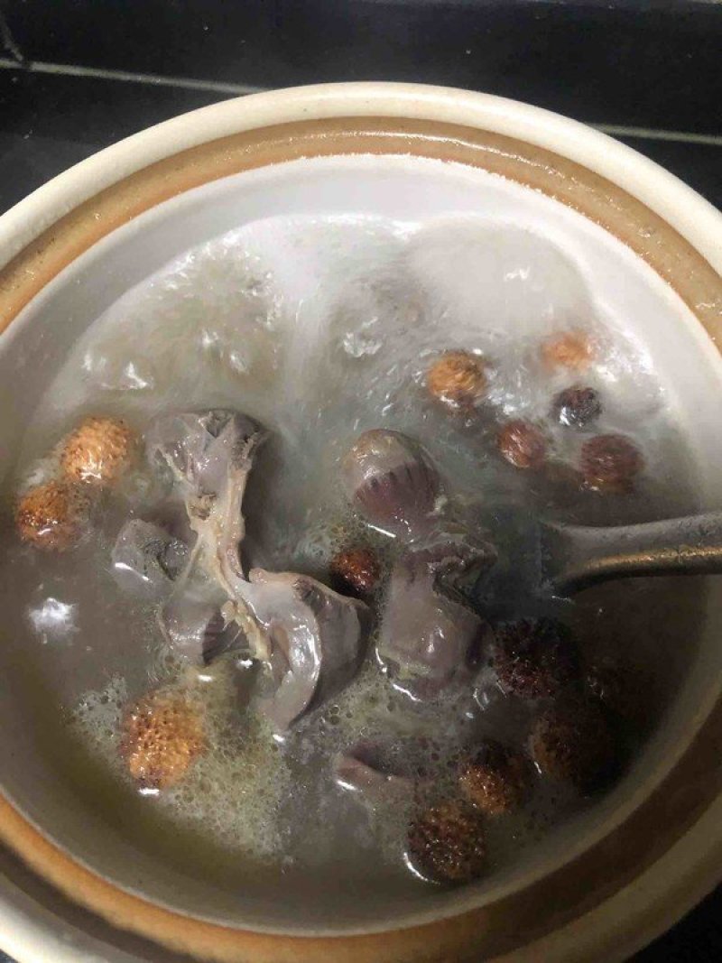 阳春春砂仁精选大粒好货粒粒饱满批发零售全国发货