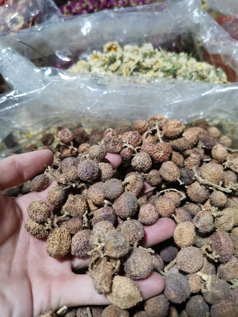 阳春春砂仁精选大粒好货粒粒饱满批发零售全国发货