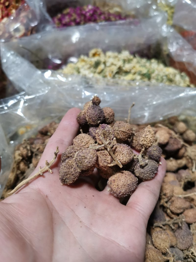 阳春春砂仁精选大粒好货粒粒饱满批发零售全国发货