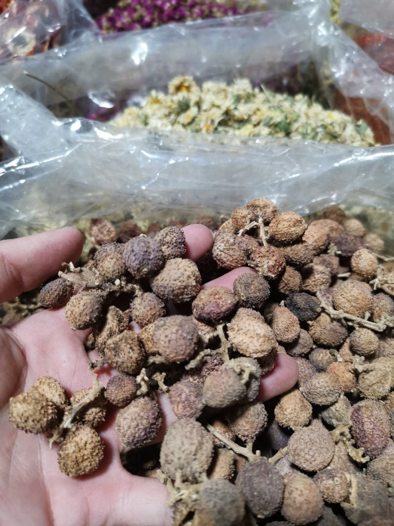 阳春春砂仁精选大粒好货粒粒饱满批发零售全国发货