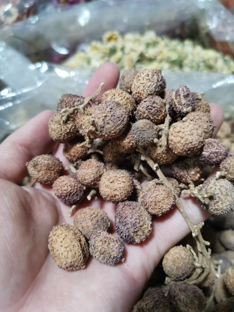 阳春春砂仁精选大粒好货粒粒饱满批发零售全国发货