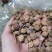 阳春春砂仁精选大粒好货粒粒饱满批发零售全国发货