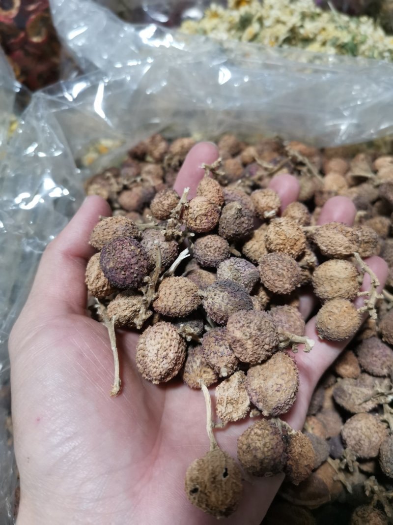 阳春春砂仁精选大粒好货粒粒饱满批发零售全国发货