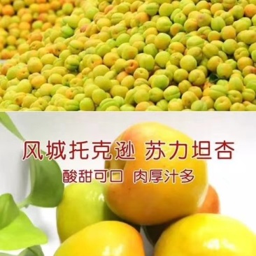 杏子包质量包质量包运费