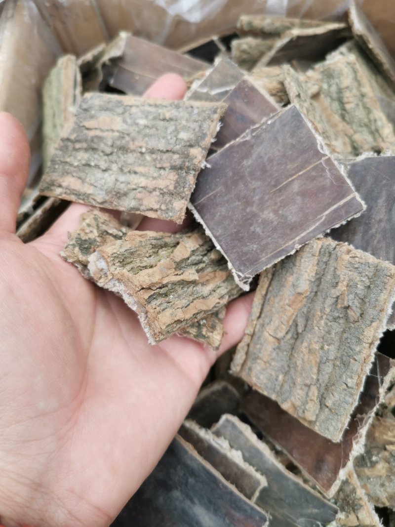 杜仲皮片拉丝非常好老杜仲皮批发零售全国发货