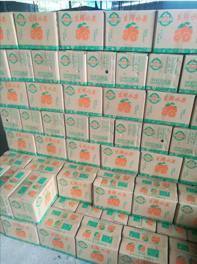 青见柑橘（青见皇后）原产地直销，现摘现发新鲜直达，一条龙
