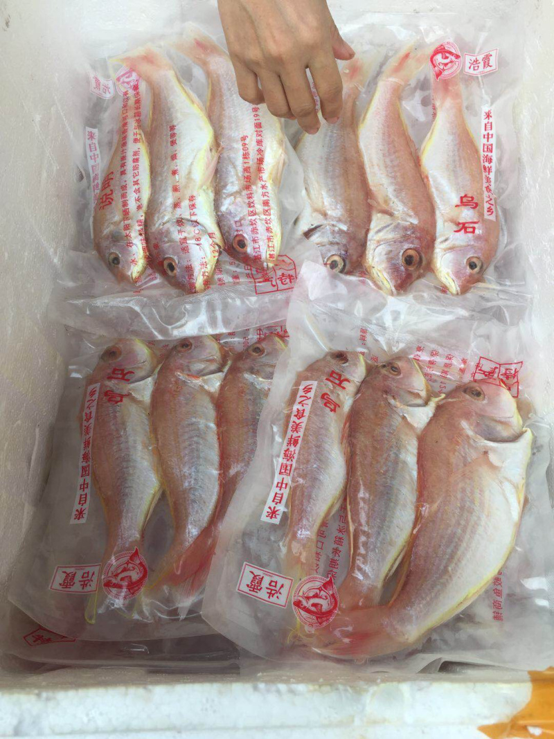 电商包邮一件代发马友马胶金昌黄花金丝鳕鱼白花龙舌