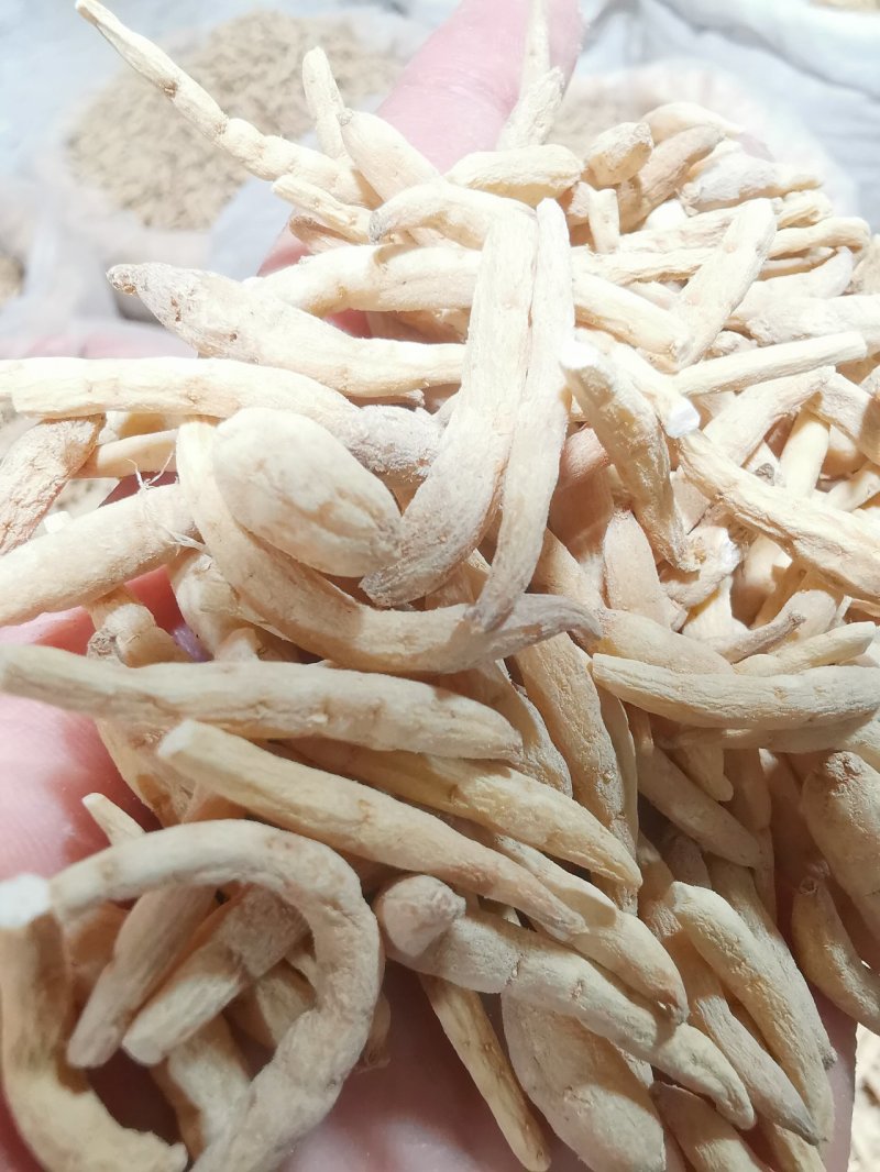 【精品】剪头粗条太子参无硫不酸非常粉批发零售
