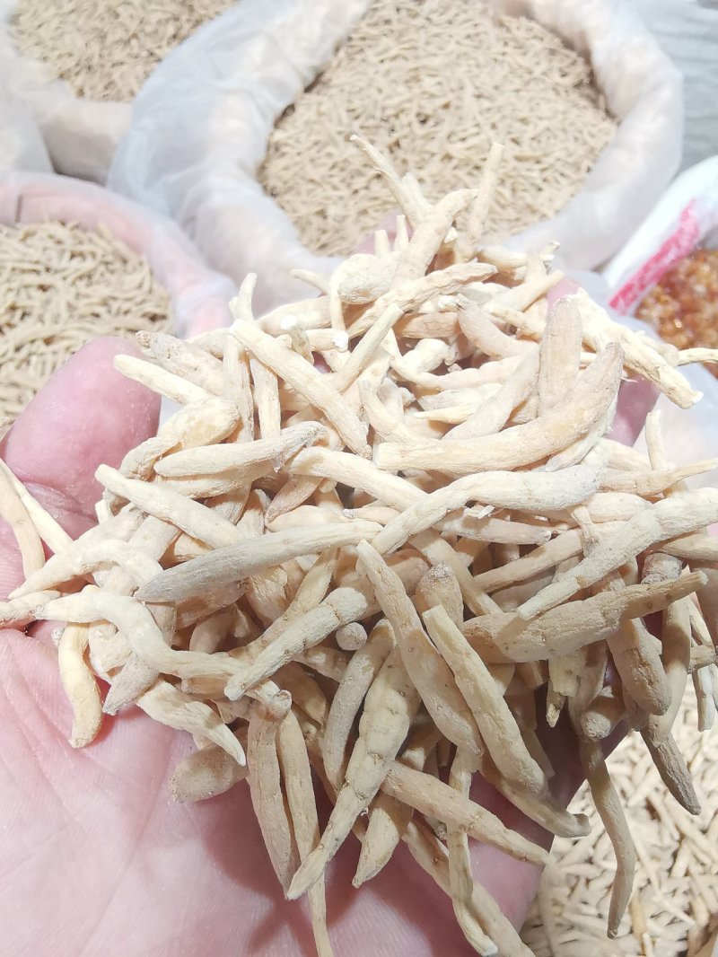 【精品】剪头粗条太子参无硫不酸非常粉批发零售
