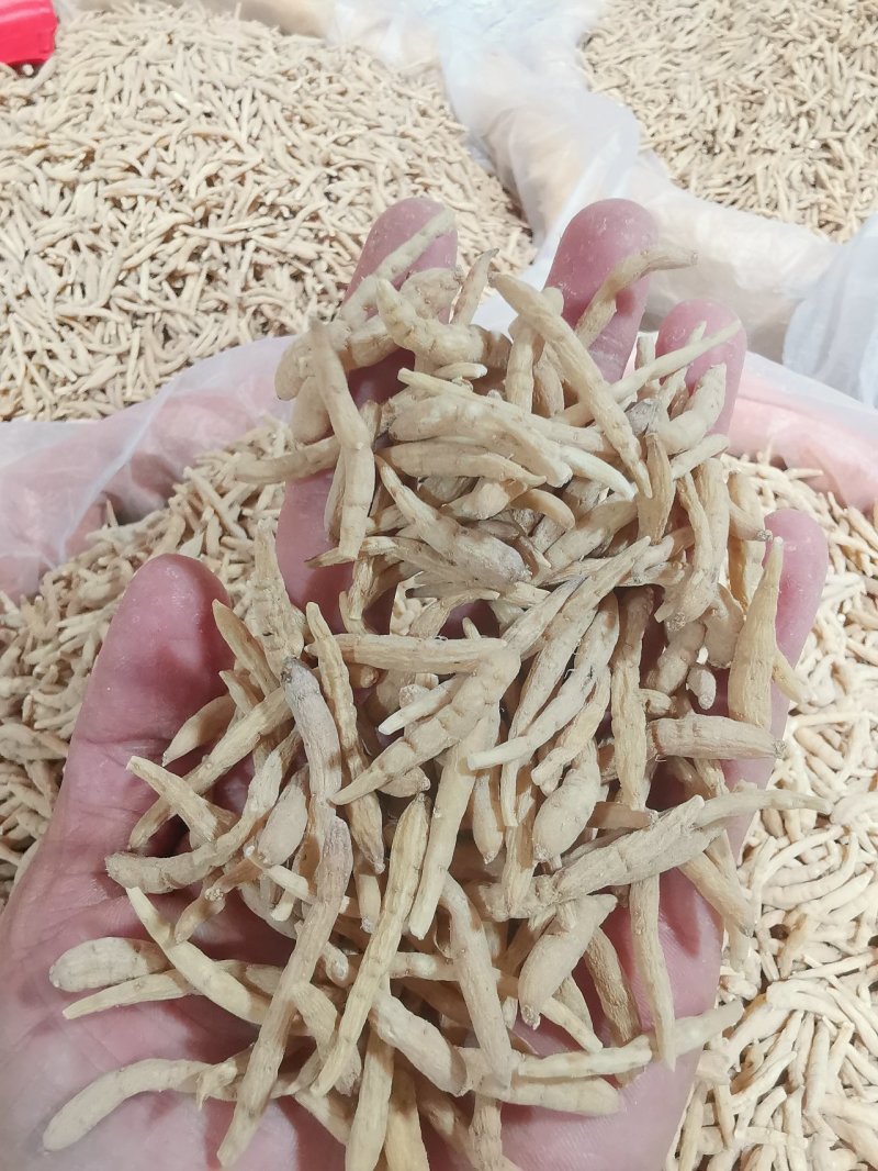 【精品】剪头粗条太子参无硫不酸非常粉批发零售