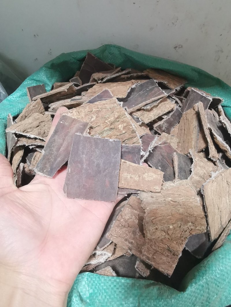 杜仲皮片拉丝非常好老杜仲皮批发零售全国发货