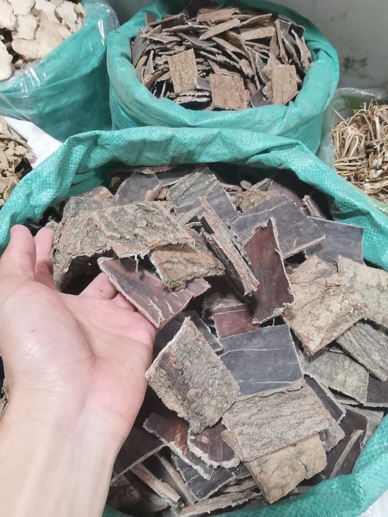 杜仲皮片拉丝非常好老杜仲皮批发零售全国发货