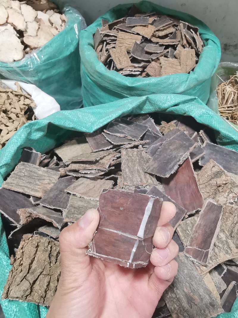 杜仲皮片拉丝非常好老杜仲皮批发零售全国发货