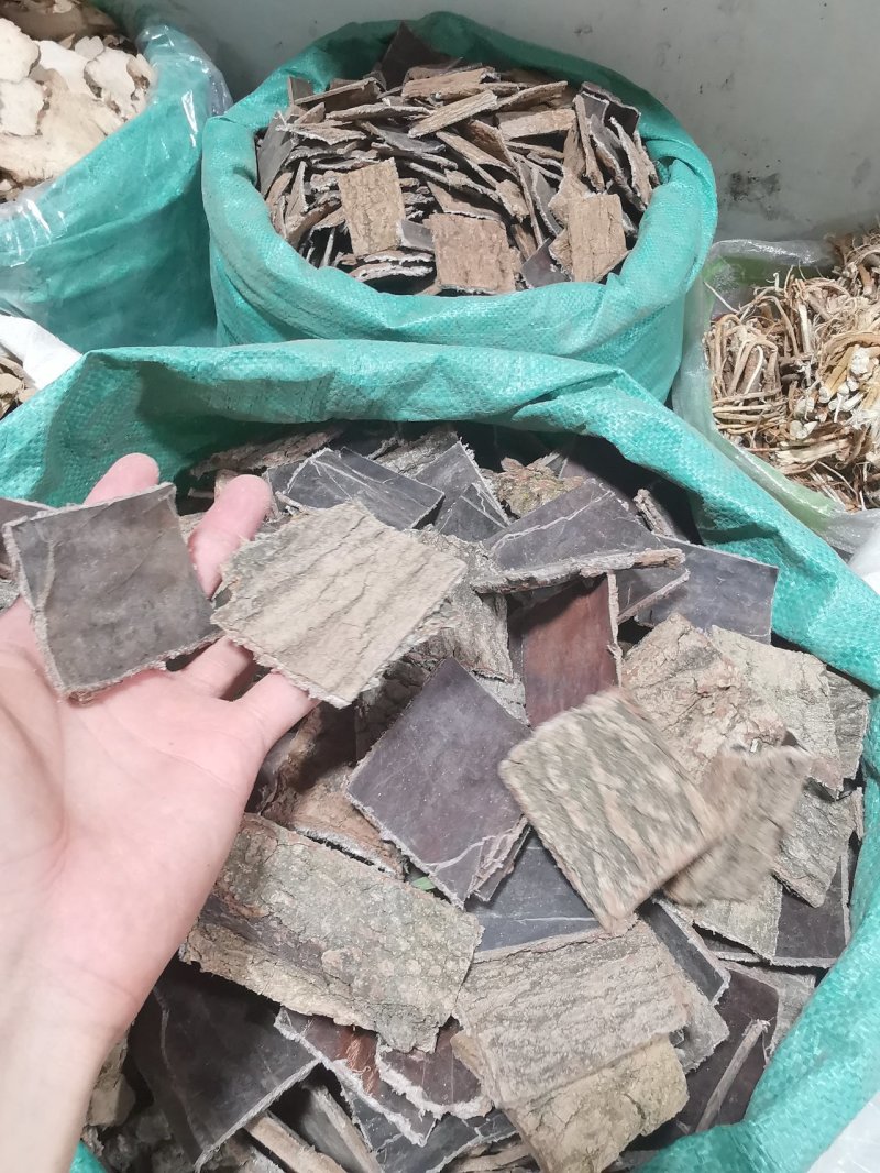 杜仲皮片拉丝非常好老杜仲皮批发零售全国发货