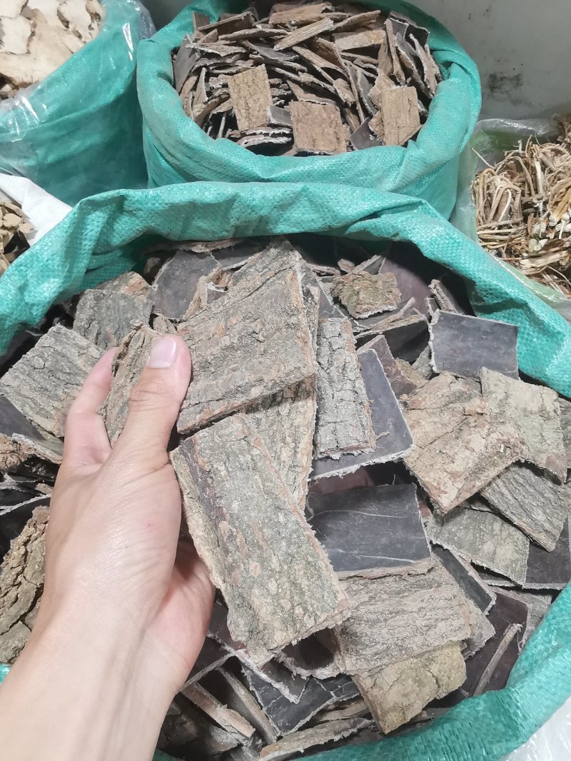 杜仲皮片拉丝非常好老杜仲皮批发零售全国发货