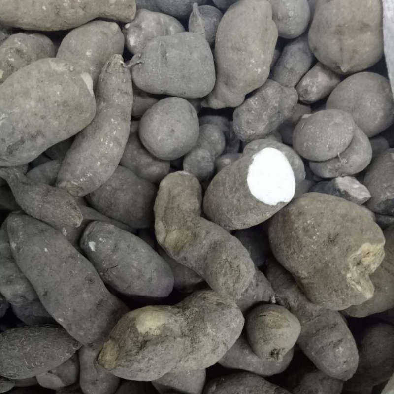 三叶青金丝吊各种规格批发零售中药材