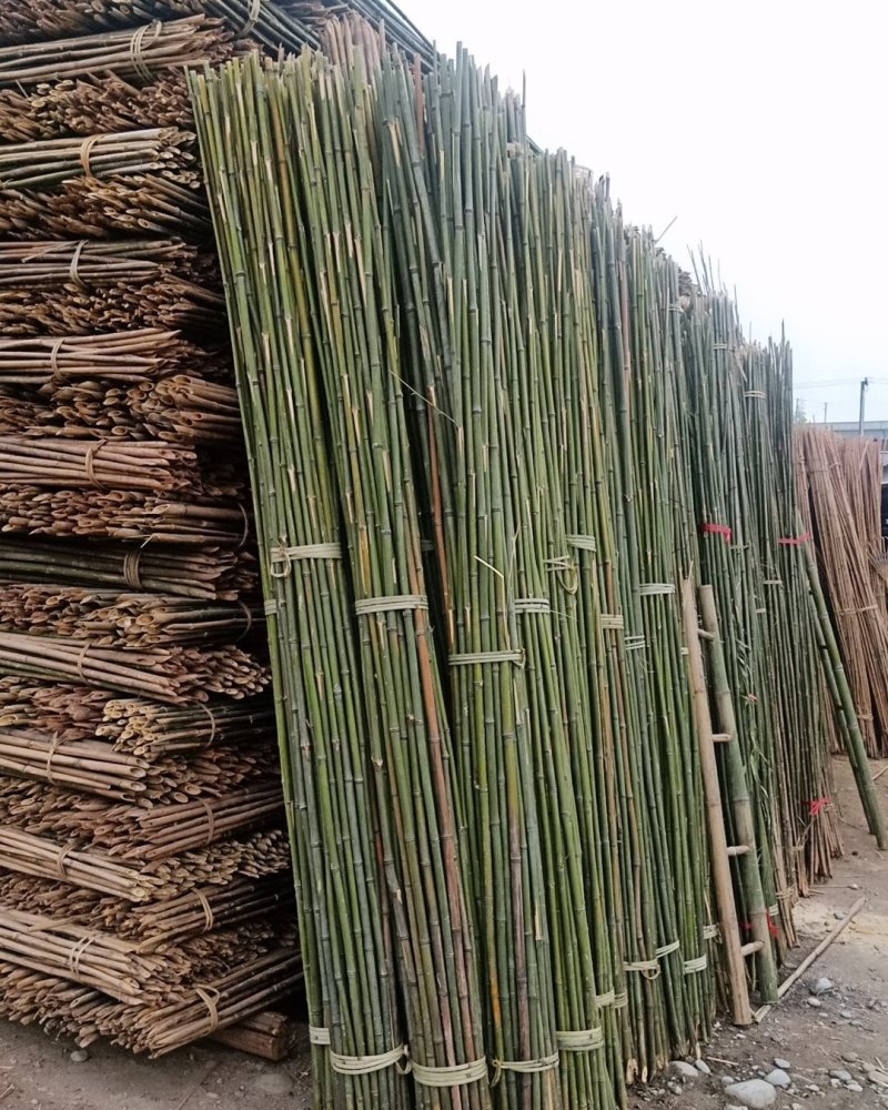 竹子，杉杆，菜棚架